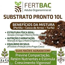 Substrato Pronto Cactos E Suculentas E Rosa Do Deserto Premium 10 Litros FertBac - Turfa+Perlita+Casca de Arroz - Visão 2