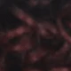 12inch-Curly-1B/BUG