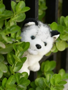 1个柔软毛绒哈士奇玩偶，哈士奇狗毛绒抱枕，儿童毛绒狗玩偶，送给男孩女孩的礼物 - 彩色 - 查看 4