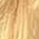 S613