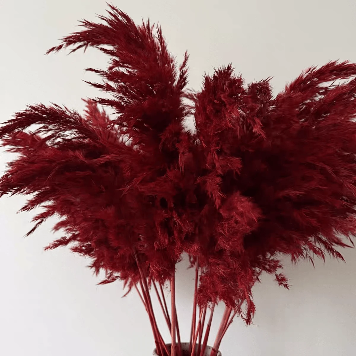 10pcs/Box Artificial Cattail Grass Decor, Fake Pampas Grass Feather Bouquet, Pink Cattail Dried Flowers, Suitable For Boho Style Room Floral Decor, Wedding Vase Bedroom Floor Decor, Artificial Plants, Birthday Anniversary Gift, DIY Wreath Decor, Party Event Backdrop, Flower Shop Materials - Red - View 1
