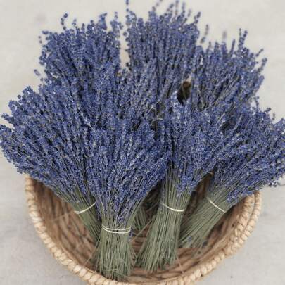 Decoración de flores de lavanda secas, ramo de flores de lavanda para decoración del hogar, decoración de bodas, decoración de oficina, decoración de fiestas y regalos