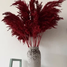 10pcs/Box Artificial Cattail Grass Decor, Fake Pampas Grass Feather Bouquet, Pink Cattail Dried Flowers, Suitable For Boho Style Room Floral Decor, Wedding Vase Bedroom Floor Decor, Artificial Plants, Birthday Anniversary Gift, DIY Wreath Decor, Party Event Backdrop, Flower Shop Materials - Red - View 4