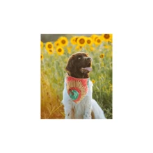 Unique Style Paws Dog Bandana, Sunflower Print 1PC Washable Square Dog Scarfs For Small Medium Large Dogs Adjustable Dogs Bib Scarfs For Girl Dogs - Màu sắcW - Xem 5