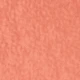02 Soft Coral