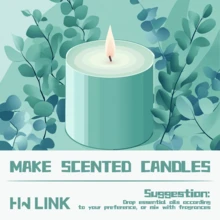 HWLINK 10ml Eucalyptus Essential Oil, Plant Essential Oil, Air Freshener, Reed Diffuser, Candle Making, Diffuser/Humidifier Essential Oil, Essential Oil Care, Mother's Day Gift, Travel Size - Eucalyptus - View 5