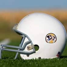 1 cái/3 cái Hình dán ếch "Cô gái, tôi đến đây để uống trà" bằng vinyl - Chất liệu polypropylene bền, tuyệt vời để dán lên cản xe, máy tính xách tay và cốc - Biểu tượng của sự sống, vũ trụ và mọi thứ - đĩa than - Xem 6