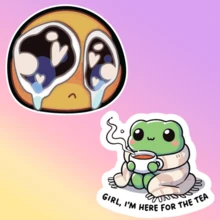 1 cái/3 cái Hình dán ếch "Cô gái, tôi đến đây để uống trà" bằng vinyl - Chất liệu polypropylene bền, tuyệt vời để dán lên cản xe, máy tính xách tay và cốc - Biểu tượng của sự sống, vũ trụ và mọi thứ - đĩa than - Xem 1