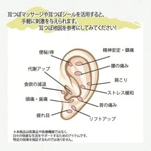 Ear Acupressure Beads, Ear Acupuncture Massage Therapy Helps Relax Body And Mind, Relieve Stress, Easy To Operate. - Multicolor - View 11