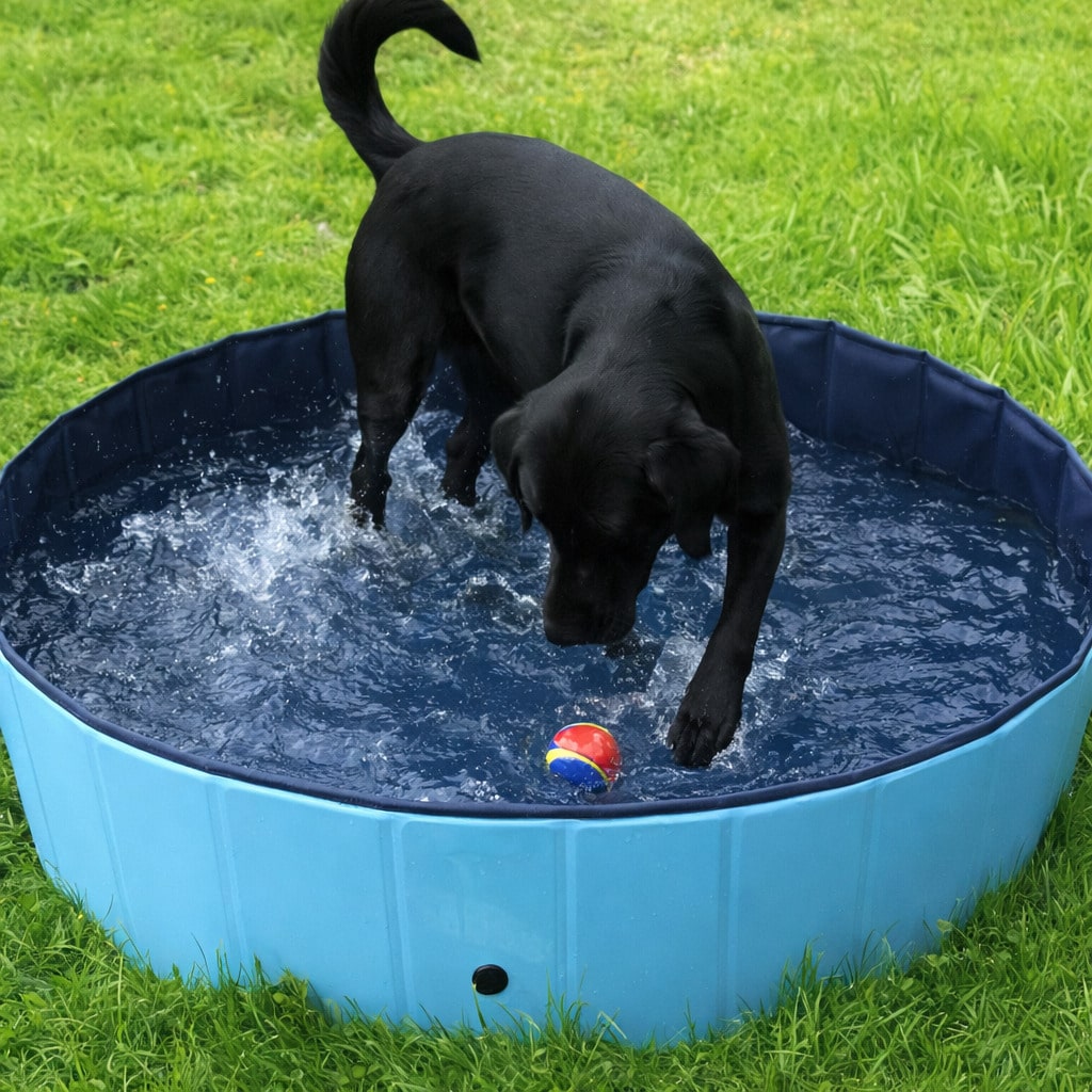 Piscina para mascotas, bañera plegable para perros, cerca para perrera, suministros de limpieza, fuente para exteriores, piscina para mascotas
