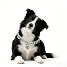 2pcs Luxury Hip-Hop Pet Collar, Cuban Chain Bell Pendant Dog Necklace, Suitable For Small/Medium/Large Dogs, Secure And Won't Fall Off - Multicolor - View 7