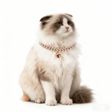 2pcs Luxury Hip-Hop Pet Collar, Cuban Chain Bell Pendant Dog Necklace, Suitable For Small/Medium/Large Dogs, Secure And Won't Fall Off - Multicolor - View 5