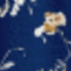 海軍藍小花