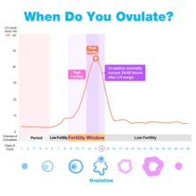 Easy@Home 50 LH Ovulation Test Strips + 50 Urine Cups: Ovulation Test Predictor Kit, Powered By Premom Ovulation Tracker App - 50LH + 50 Cups - View 6
