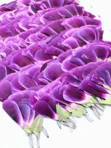 古代小型干花、压花DIY材料、植物标本、真花、手机壳、书签 - 32件 - 查看 11