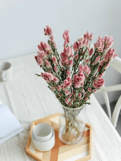 10/15pcs Natural Dried Cockscomb Flowers, Ins Fresh Home Decor Floral Arrangement, Flower Shop Supplies, Dried Flower Bouquet Filler, Mini Flower Bouquet Making Materials, Floating Flower Vase Supplies, Fragrance Flower Bouquet