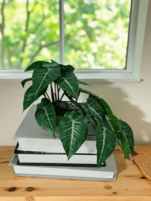 双色常春藤植物，常春藤和发财树叶子悬挂盆栽植物黄金葛室内装饰，情人节，生日毕业礼物，花园装饰，户外植物，园艺，假花 - 綠色 - 查看 15
