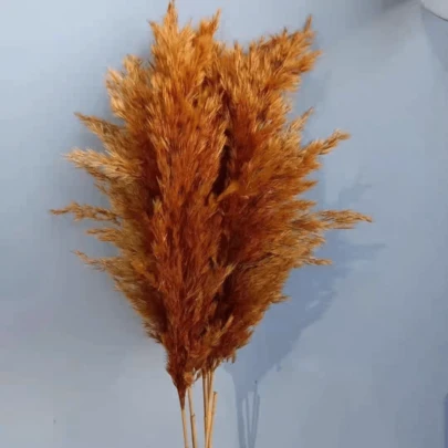 10/20pcs Bestselling Artificial Reeds Decor, Dried Pampas Grass, Boho Style, Room Floral Decor, Wedding Vase, Wreath Decor, Bedroom Decor, Boho Wedding, Plant Decor, Floor Decor
