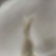 天使套五
