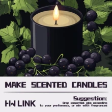 HWLINK 10ml 黑醋栗果香精油，適用於蠟燭製作、擴香機/加濕器、室內香氛、節日禮物、車用芳香療法，無酒精 - Blackcurrant - 查看 5