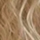 Blonde Highlight
