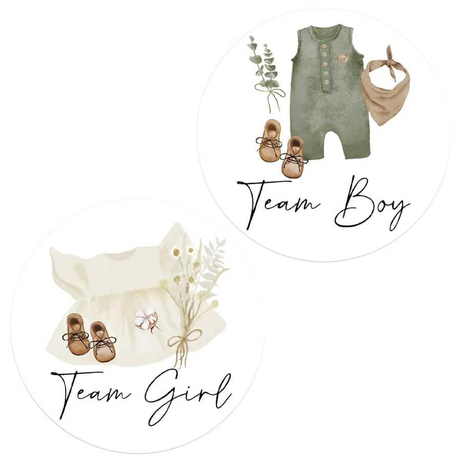 性别揭晓纸贴纸 婴儿服装贴纸 男孩或女孩 自粘贴纸 婴儿派对卡片用品 - 彩色 - 查看 1