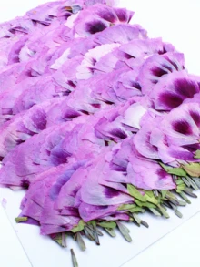 Flores secas vintage, flores prensadas para artesanato, espécimes de plantas, flores naturais, capas para celular, marcadores de livros - 50 unidades - Ver 11