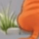 彩色