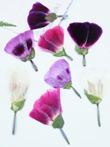 古代小型干花、压花DIY材料、植物标本、真花、手机壳、书签 - 32件 - 查看 8