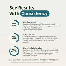 Greens & Enzymes Bundle: Probiotic + Spirulina/Chlorella + Enzymes | 170 Vegetarian Capsules (50+120) - 3 - Xem 4