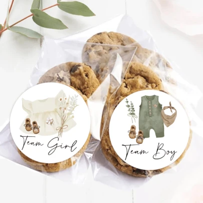 Gender Reveal Paper Sticker Baby Clothes Decal Team Boy Or Girl Self-Adhesive Sticker For Baby Shower Card Party Supplies