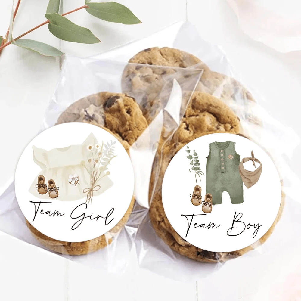 Gender Reveal Paper Sticker Baby Clothes Decal Team Boy Or Girl Self-Adhesive Sticker For Baby Shower Card Party Supplies - Multicolor - View 1