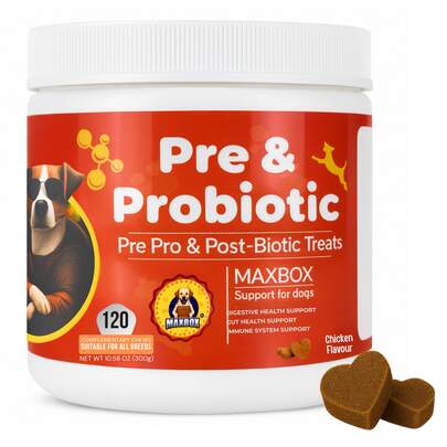 MAXBOX Probiotics For Dogs, Dog Probiotics For Gut Health, 120 Soft Chew Dog Probiotic Tablets, Digestion & Defecation Support With Pumpkin For Sensitive Stomachs, Diarrhoea, Anti-Scooting & Stool Quality
