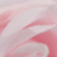 淺粉色
