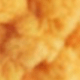 Coral Orange
