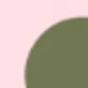 Green Dot Foundation