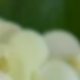 多色