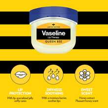 Vaseline 凡士林蜂后玫瑰润唇膏 14克 | 超值装 | 唇部修护润唇膏 | 淡化唇纹 | 保湿润唇膏 | 深层滋养极度干燥的双唇 | 100%纯素配方 | 韩国制造 - Queen Bee&Rose - 查看 2
