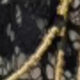 màu đen