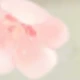Nhiều màu