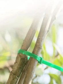 100pcs Garden Binding Ties, Zip Ties, Plastic Wrap, Plant Fixation, Portable Garden Cable Ties, Gardening And Lawn Care - A - View 3