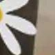 彩色