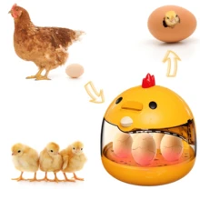 Home Incubator, Suitable For Chicken Eggs, Duck Eggs, Goose Eggs, Bird Eggs, Etc., Easy To Operate - Yellow - View 4