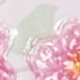 彩色