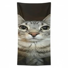 Meme Beach Towels - Funny And Stylish - Cat - View 1