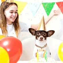 2 chiếc vòng cổ sang trọng phong cách Hip Hop cho chó, mặt dây chuyền hình xương bằng thép không gỉ đính đá, vòng cổ dây xích kiểu thời trang cho thú cưng, thích hợp đeo hàng ngày. - Nhiều màu - Xem 7