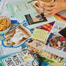 Who Let The Pets Out? – A Cold Case Mystery Game, An Unsolved Crime Full Of Clues, Can You Crack The Case? - Multicolor - View 6