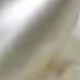 米粒 - 約 12 毫米
