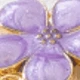 Púrpura malva