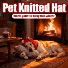 Sombrero adorable para perro, se mantiene firmemente en su lugar - Cuenta con un diseño de correa elástica ajustable que se adapta al 90% de los perros pequeños, incluso durante sacudidas intensas. - Rojo - Ver 1